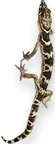 ** PLEASE DESCRIBE THIS IMAGE **